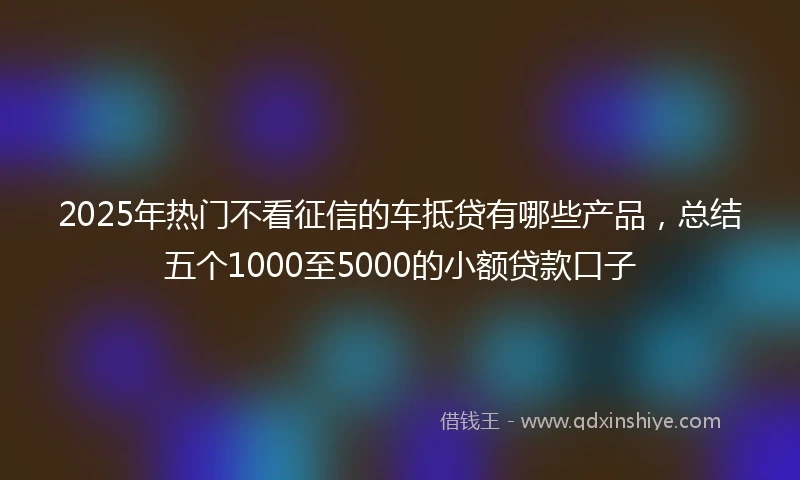 2025年热门不看征信的车抵贷有哪些产品，总结五个1000至5000的小额贷款口子