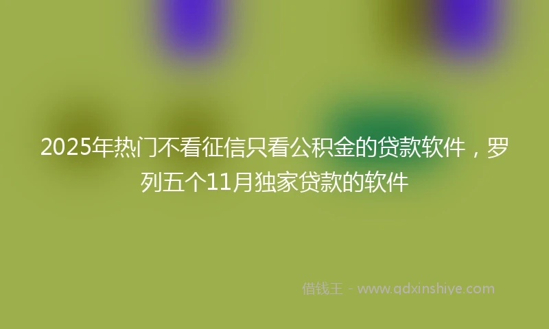 2025年热门不看征信只看公积金的贷款软件，罗列五个11月独家贷款的软件