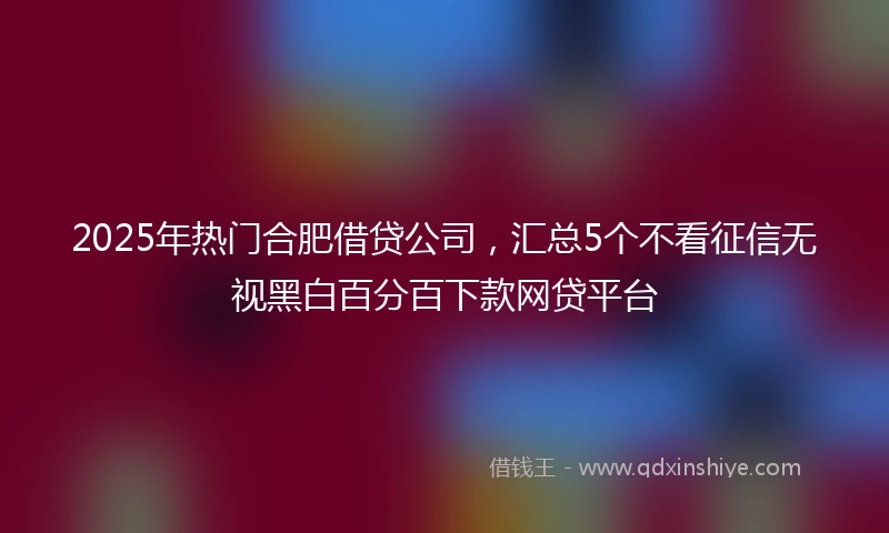 2025年热门合肥借贷公司，汇总5个不看征信无视黑白百分百下款网贷平台