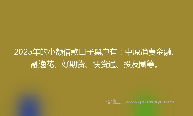 2025年的小额借款口子黑户有：中原消费金融、融逸花、好期贷、快贷通、投友圈等。