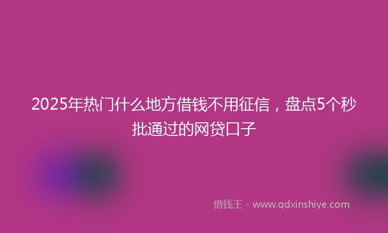 2025年热门什么地方借钱不用征信，盘点5个秒批通过的网贷口子