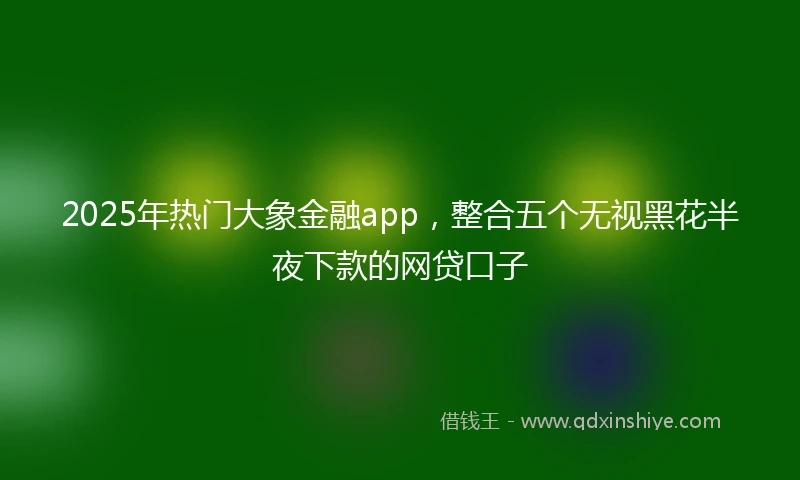 2025年热门大象金融app，整合五个无视黑花半夜下款的网贷口子