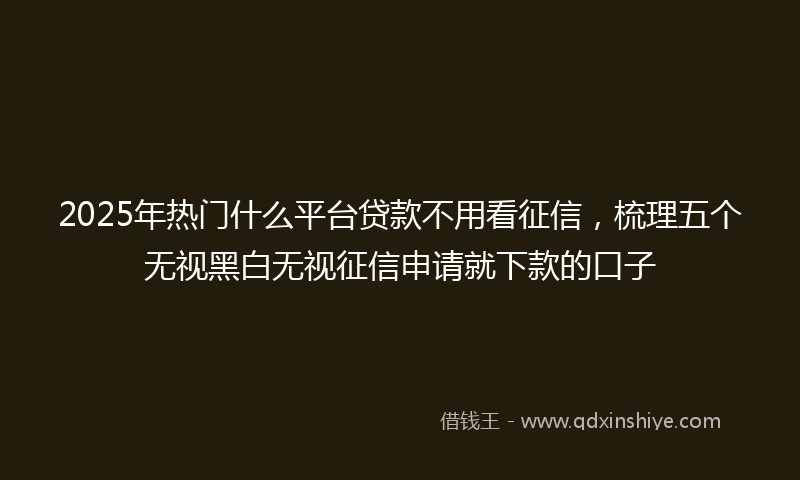 2025年热门什么平台贷款不用看征信，梳理五个无视黑白无视征信申请就下款的口子