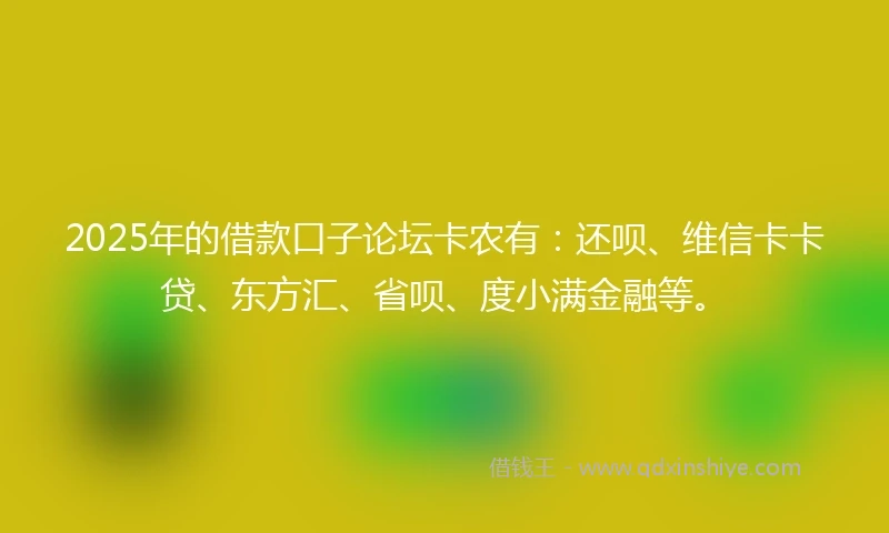 2025年的借款口子论坛卡农有：还呗、维信卡卡贷、东方汇、省呗、度小满金融等。