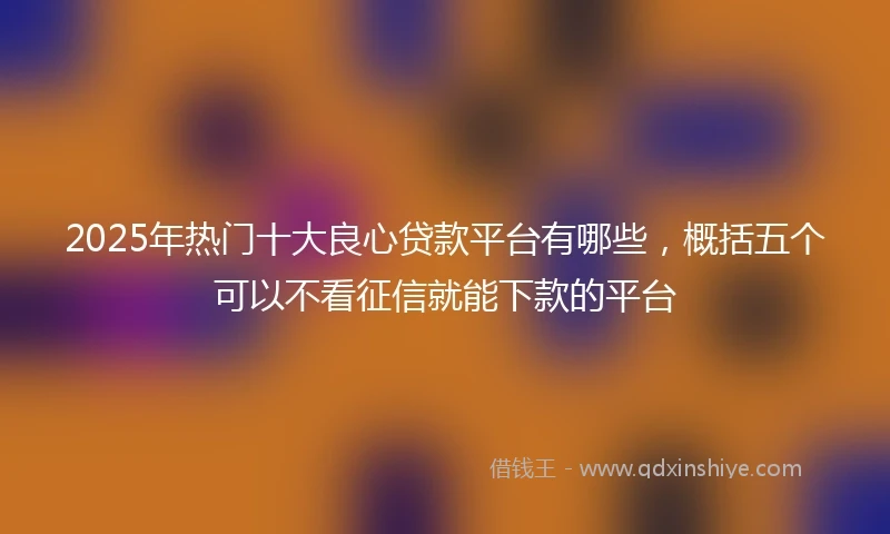 2025年热门十大良心贷款平台有哪些，概括五个可以不看征信就能下款的平台