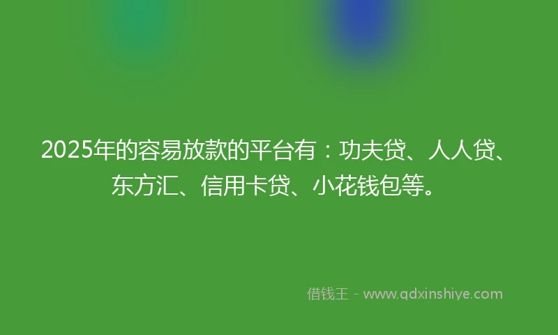 2025年的容易放款的平台有：功夫贷、人人贷、东方汇、信用卡贷、小花钱包等。