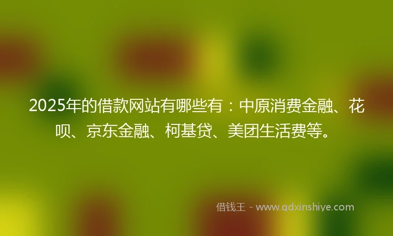 2025年的借款网站有哪些有：中原消费金融、花呗、京东金融、柯基贷、美团生活费等。