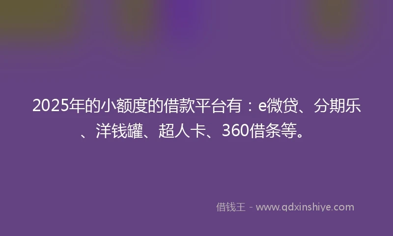2025年的小额度的借款平台有：e微贷、分期乐、洋钱罐、超人卡、360借条等。