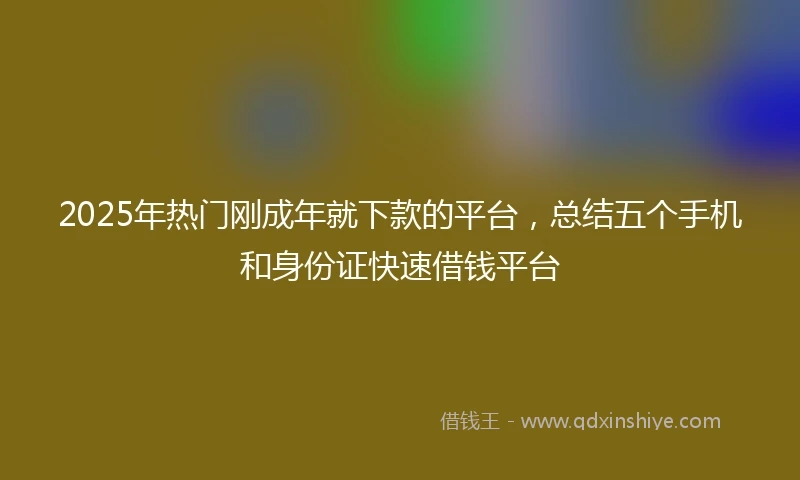 2025年热门刚成年就下款的平台，总结五个手机和身份证快速借钱平台