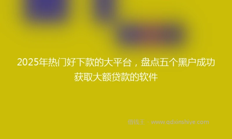 2025年热门好下款的大平台，盘点五个黑户成功获取大额贷款的软件