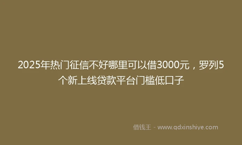2025年热门征信不好哪里可以借3000元，罗列5个新上线贷款平台门槛低口子