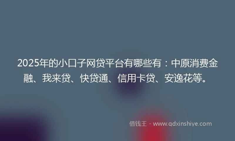 2025年的小口子网贷平台有哪些有：中原消费金融、我来贷、快贷通、信用卡贷、安逸花等。