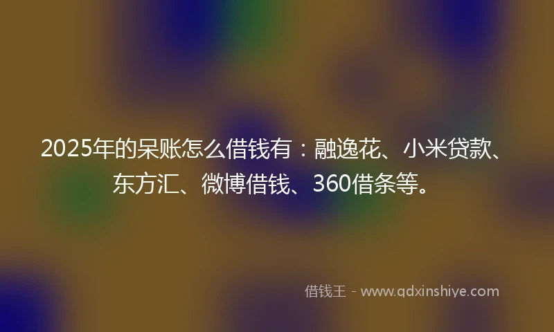 2025年的呆账怎么借钱有：融逸花、小米贷款、东方汇、微博借钱、360借条等。