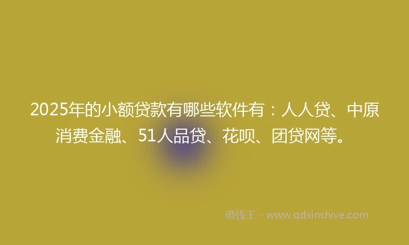 2025年的小额贷款有哪些软件有：人人贷、中原消费金融、51人品贷、花呗、团贷网等。