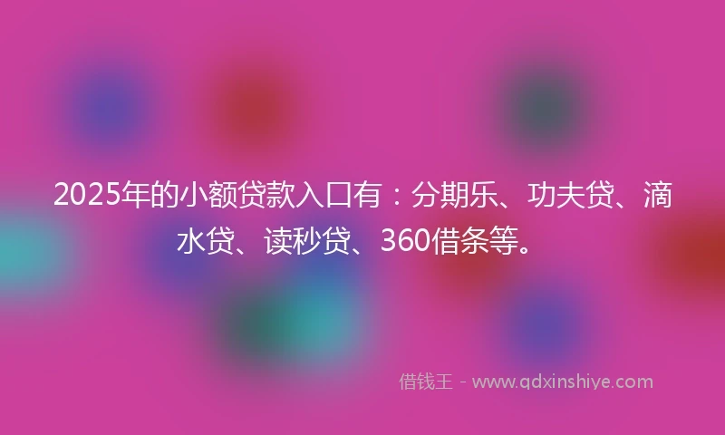 2025年的小额贷款入口有：分期乐、功夫贷、滴水贷、读秒贷、360借条等。