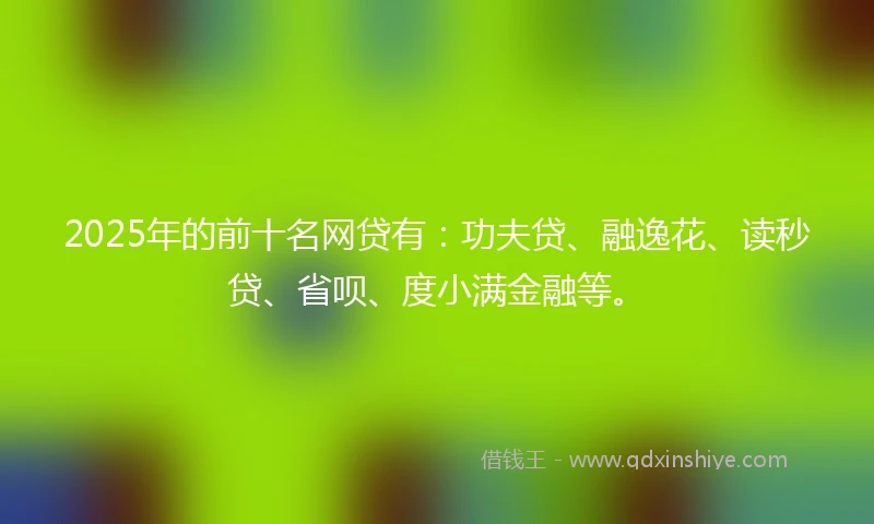2025年的前十名网贷有：功夫贷、融逸花、读秒贷、省呗、度小满金融等。