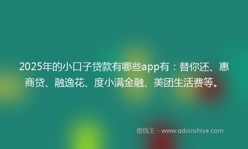 2025年的小口子贷款有哪些app有：替你还、惠商贷、融逸花、度小满金融、美团生活费等。