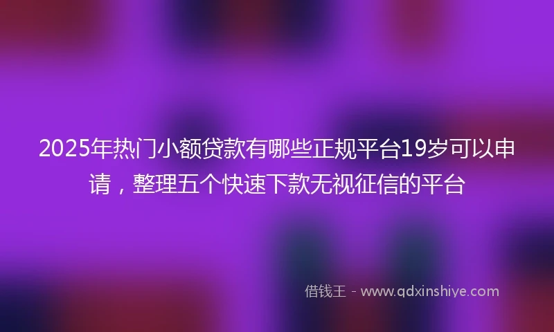 2025年热门小额贷款有哪些正规平台19岁可以申请，整理五个快速下款无视征信的平台