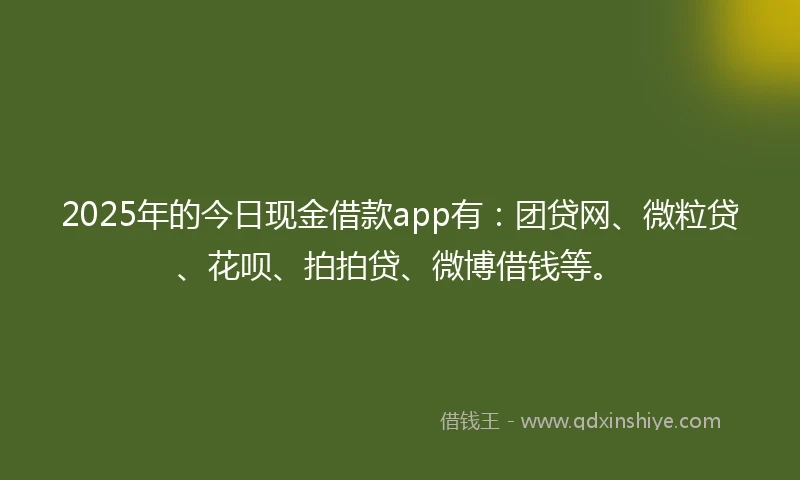 2025年的今日现金借款app有：团贷网、微粒贷、花呗、拍拍贷、微博借钱等。