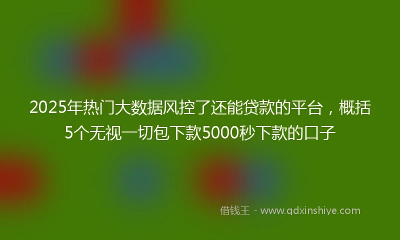 2025年热门大数据风控了还能贷款的平台，概括5个无视一切包下款5000秒下款的口子