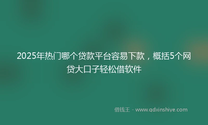 2025年热门哪个贷款平台容易下款，概括5个网贷大口子轻松借软件
