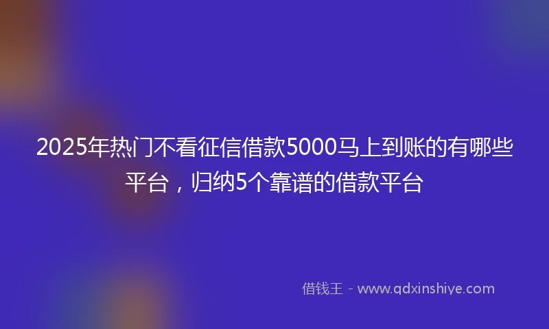2025年热门不看征信借款5000马上到账的有哪些平台，归纳5个靠谱的借款平台