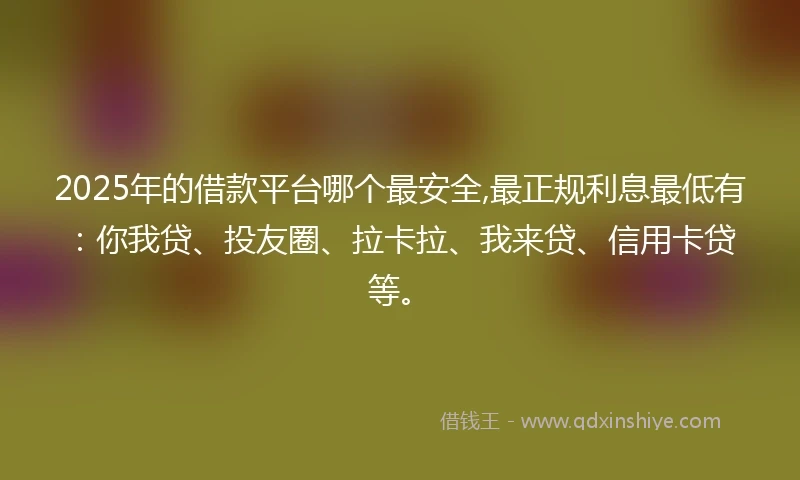 2025年的借款平台哪个最安全,最正规利息最低有：你我贷、投友圈、拉卡拉、我来贷、信用卡贷等。