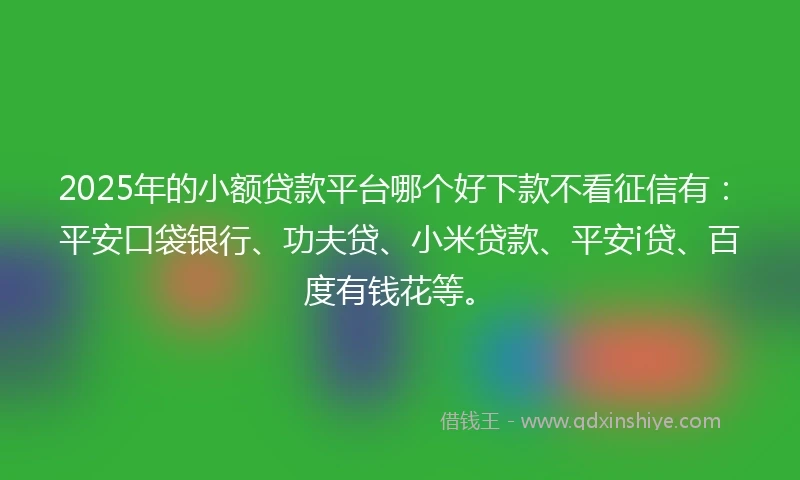 2025年的小额贷款平台哪个好下款不看征信有：平安口袋银行、功夫贷、小米贷款、平安i贷、百度有钱花等。