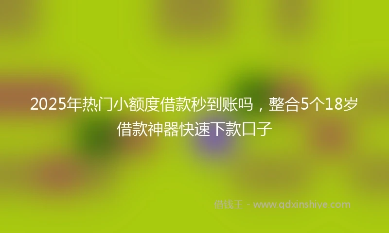2025年热门小额度借款秒到账吗，整合5个18岁借款神器快速下款口子