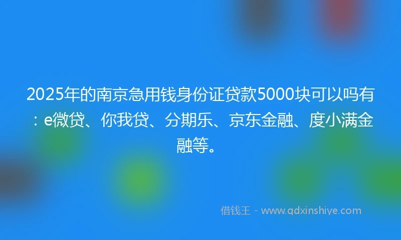 2025年的南京急用钱身份证贷款5000块可以吗有：e微贷、你我贷、分期乐、京东金融、度小满金融等。