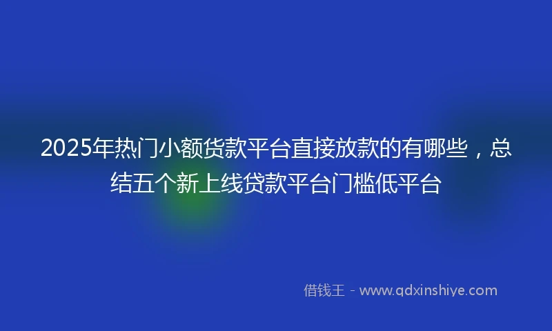 2025年热门小额货款平台直接放款的有哪些，总结五个新上线贷款平台门槛低平台