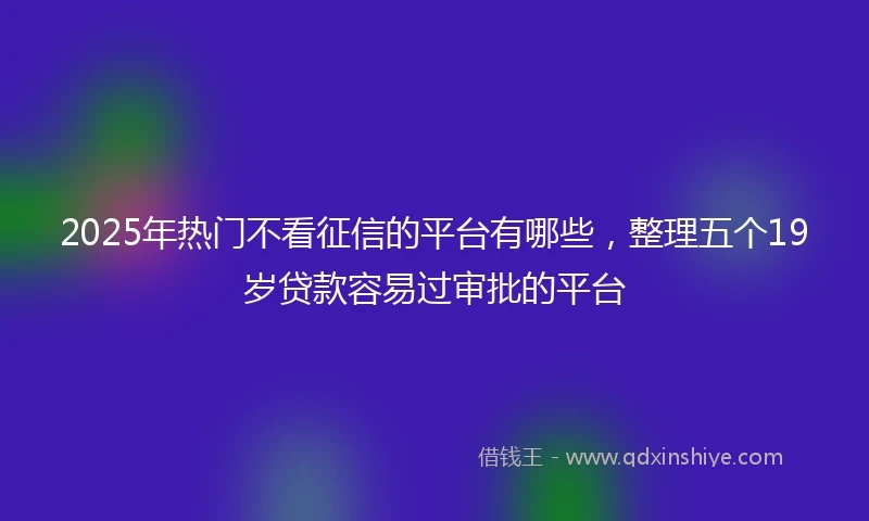 2025年热门不看征信的平台有哪些，整理五个19岁贷款容易过审批的平台