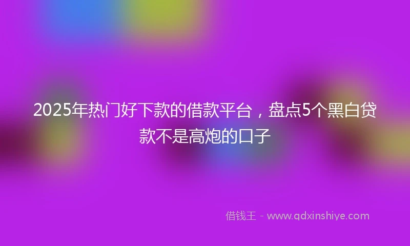 2025年热门好下款的借款平台，盘点5个黑白贷款不是高炮的口子