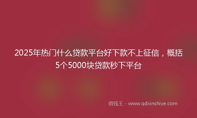 2025年热门什么贷款平台好下款不上征信，概括5个5000块贷款秒下平台