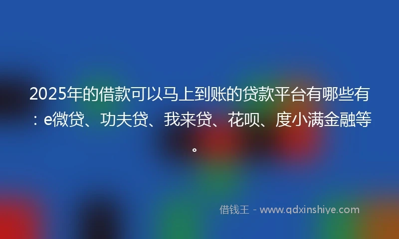 2025年的借款可以马上到账的贷款平台有哪些有：e微贷、功夫贷、我来贷、花呗、度小满金融等。