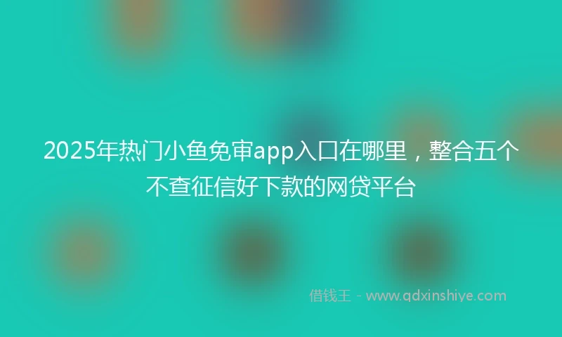 2025年热门小鱼免审app入口在哪里，整合五个不查征信好下款的网贷平台