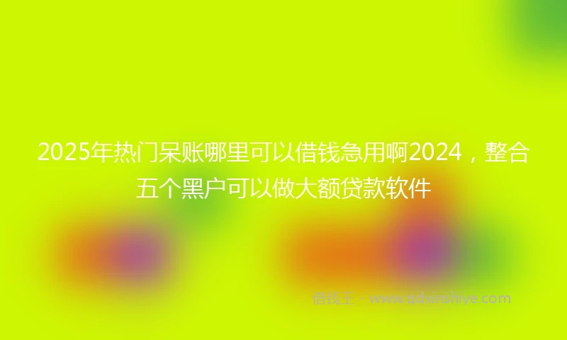 2025年热门呆账哪里可以借钱急用啊2024，整合五个黑户可以做大额贷款软件