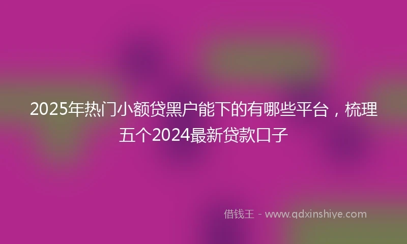 2025年热门小额贷黑户能下的有哪些平台，梳理五个2024最新贷款口子