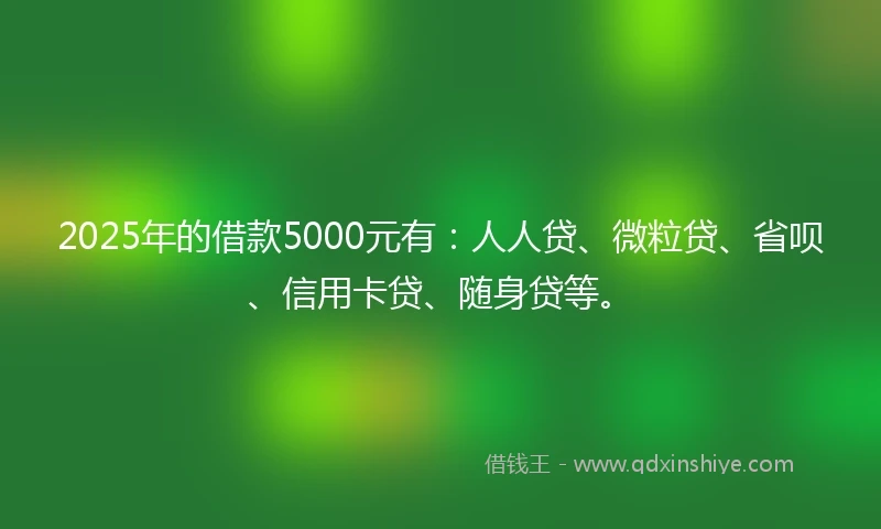 2025年的借款5000元有：人人贷、微粒贷、省呗、信用卡贷、随身贷等。