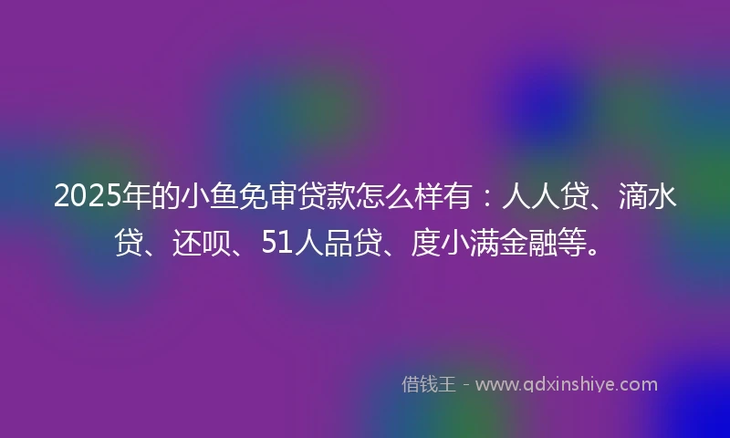 2025年的小鱼免审贷款怎么样有：人人贷、滴水贷、还呗、51人品贷、度小满金融等。
