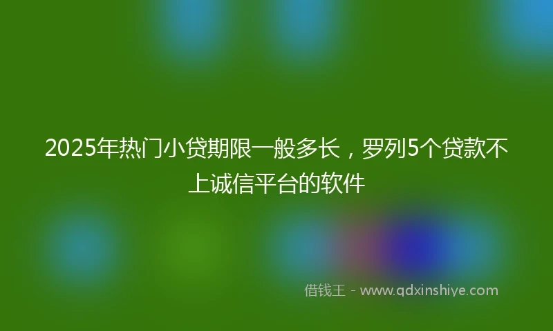 2025年热门小贷期限一般多长，罗列5个贷款不上诚信平台的软件