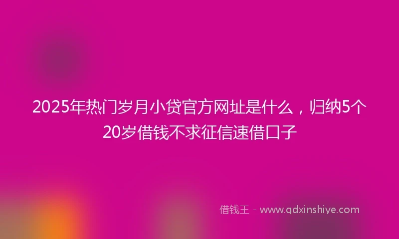2025年热门岁月小贷官方网址是什么，归纳5个20岁借钱不求征信速借口子