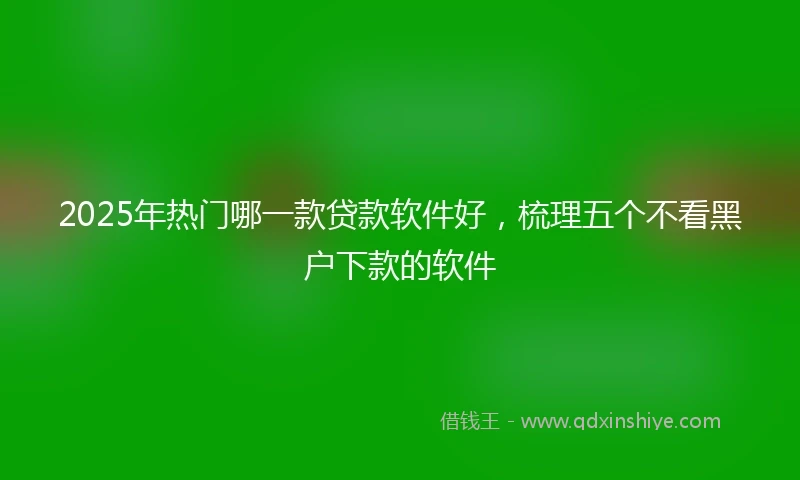 2025年热门哪一款贷款软件好，梳理五个不看黑户下款的软件