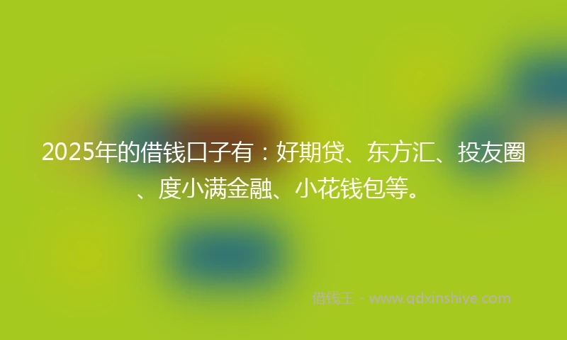 2025年的借钱口子有：好期贷、东方汇、投友圈、度小满金融、小花钱包等。