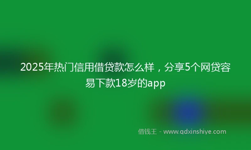 2025年热门信用借贷款怎么样，分享5个网贷容易下款18岁的app