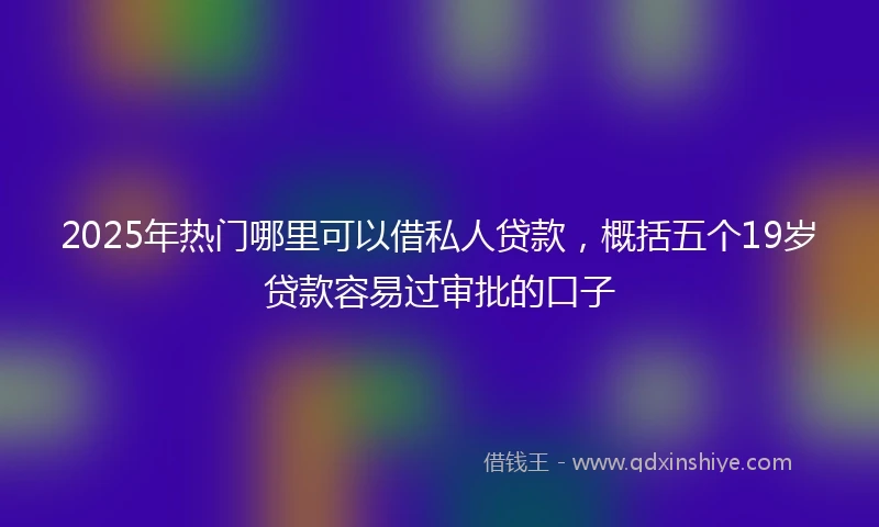 2025年热门哪里可以借私人贷款，概括五个19岁贷款容易过审批的口子