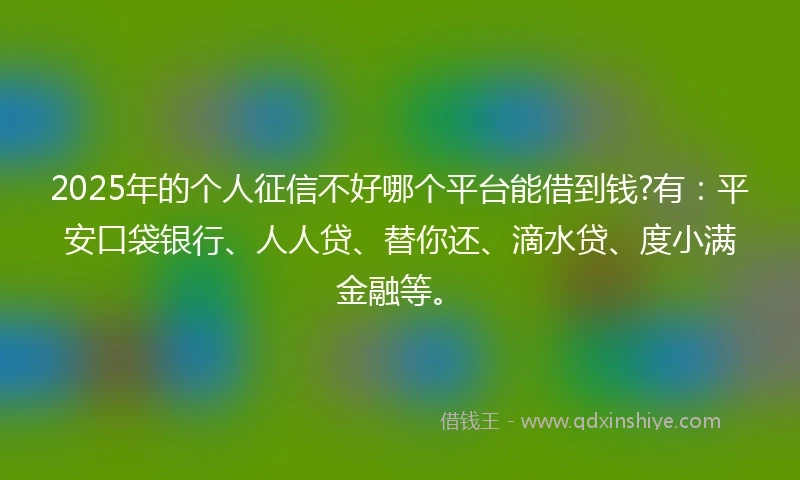 2025年的个人征信不好哪个平台能借到钱?有：平安口袋银行、人人贷、替你还、滴水贷、度小满金融等。