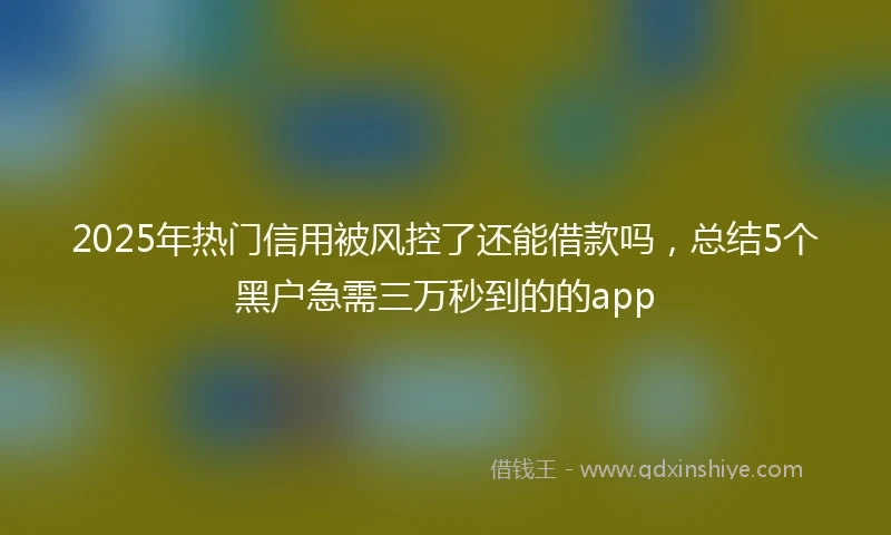 2025年热门信用被风控了还能借款吗，总结5个黑户急需三万秒到的的app