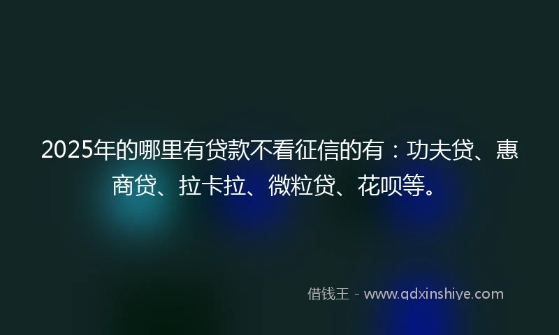 2025年的哪里有贷款不看征信的有：功夫贷、惠商贷、拉卡拉、微粒贷、花呗等。