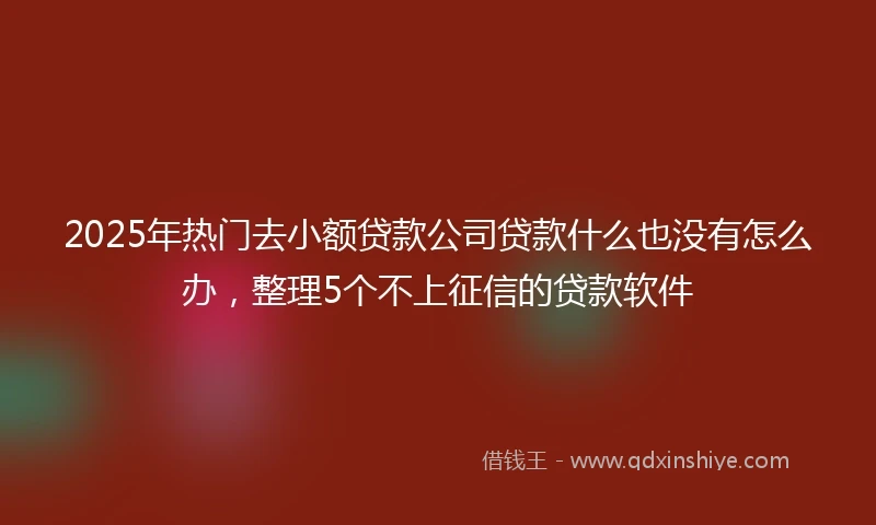 2025年热门去小额贷款公司贷款什么也没有怎么办，整理5个不上征信的贷款软件